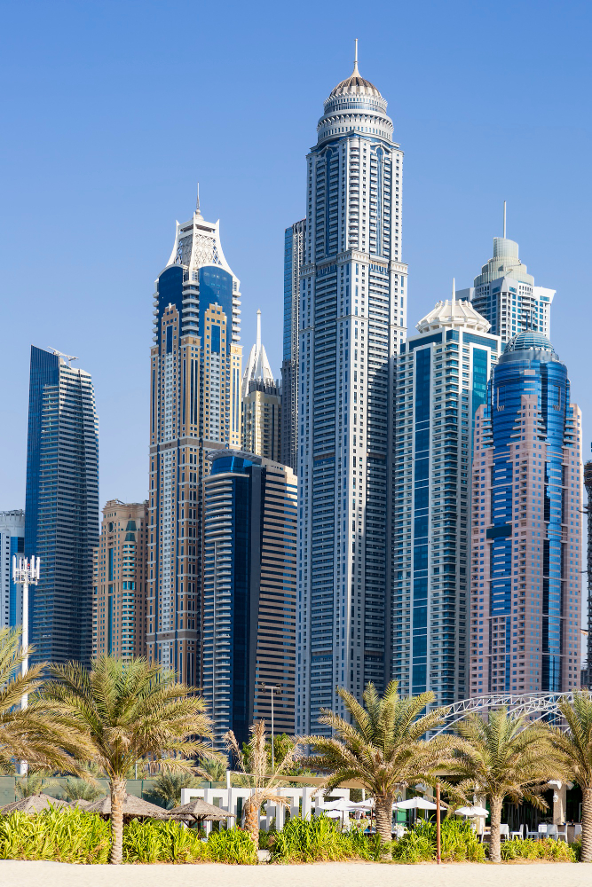 skyscrapers and palm trees in Dubai